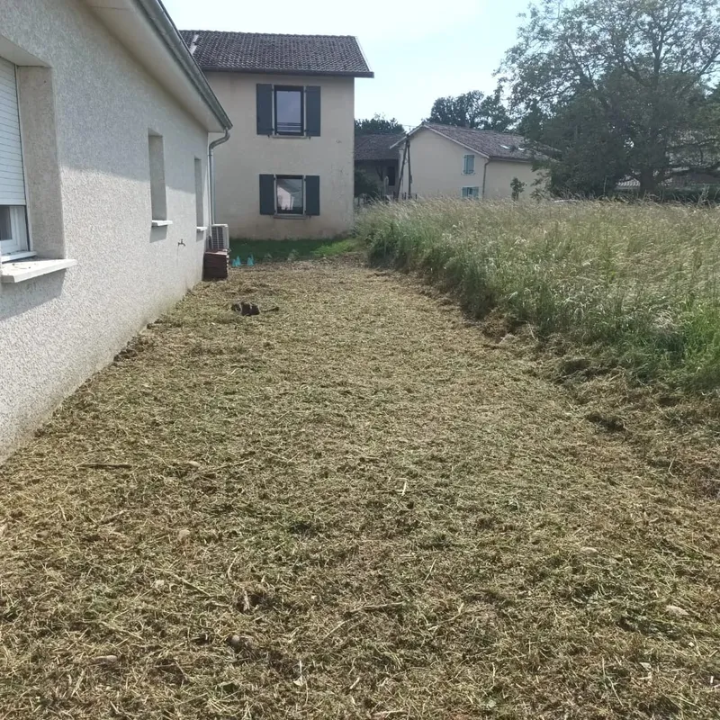 Bande fauchée et débroussaillée le long d'une maison, résidus de coupe au sol