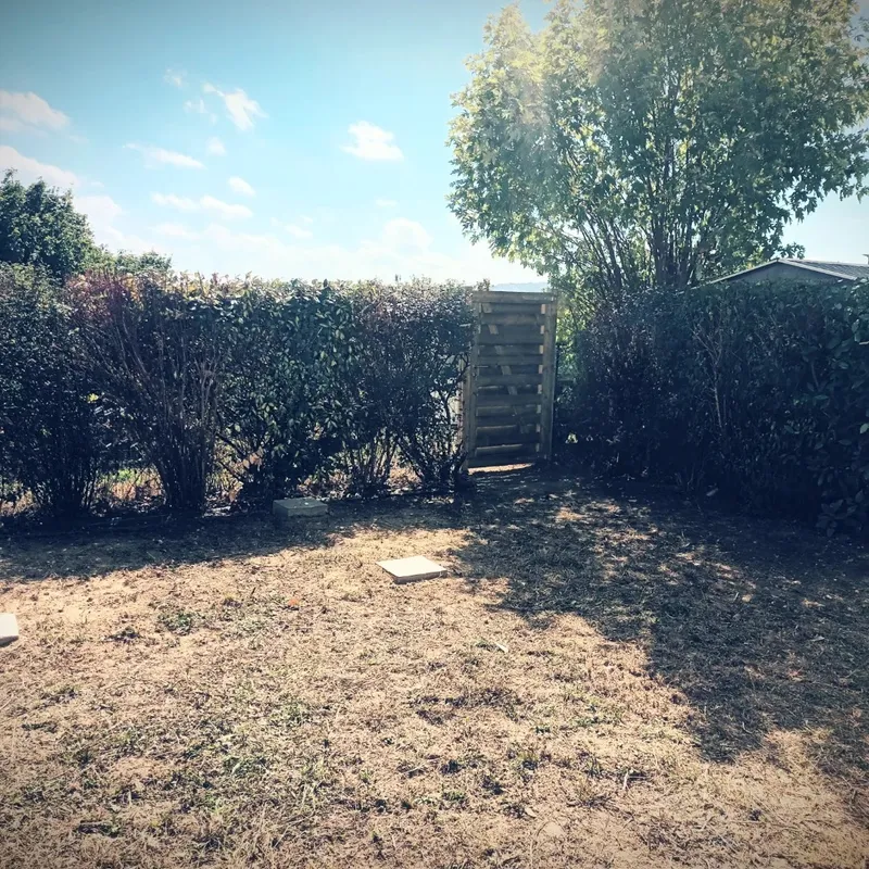 Haie fraîchement taillée, résidus de coupe au sol