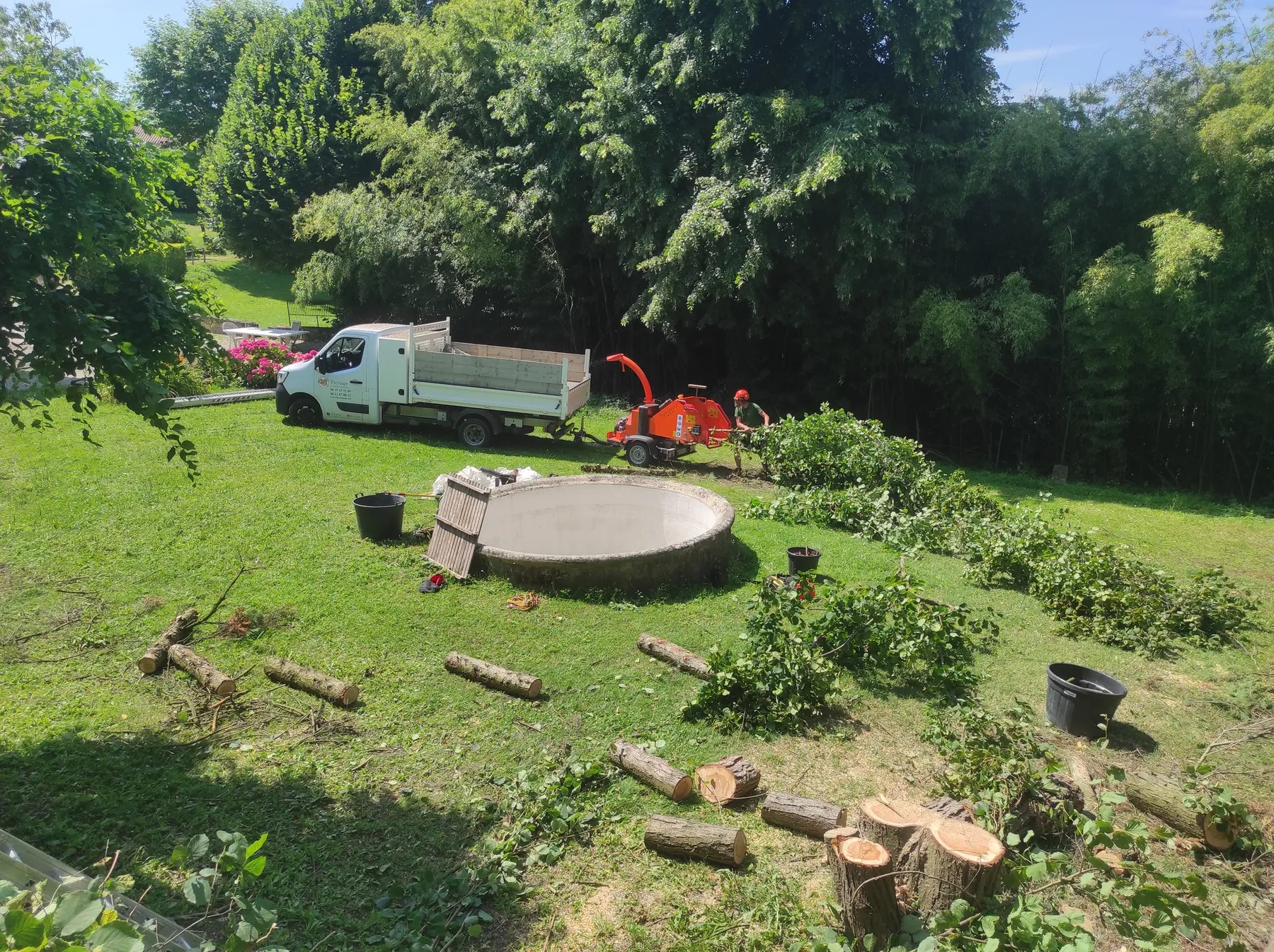 Abattage d’arbres et évacuation des bois