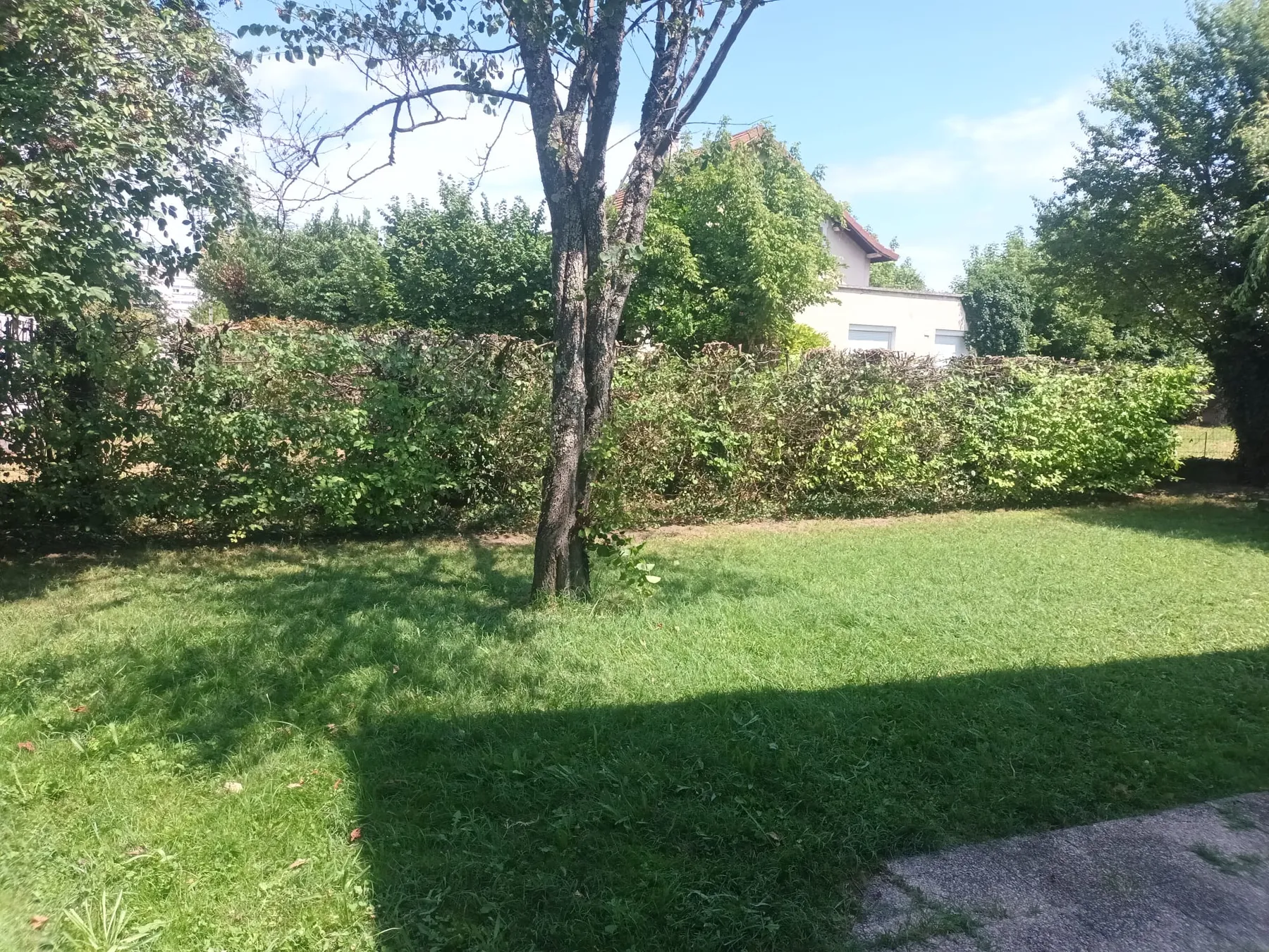 Entretien de jardins