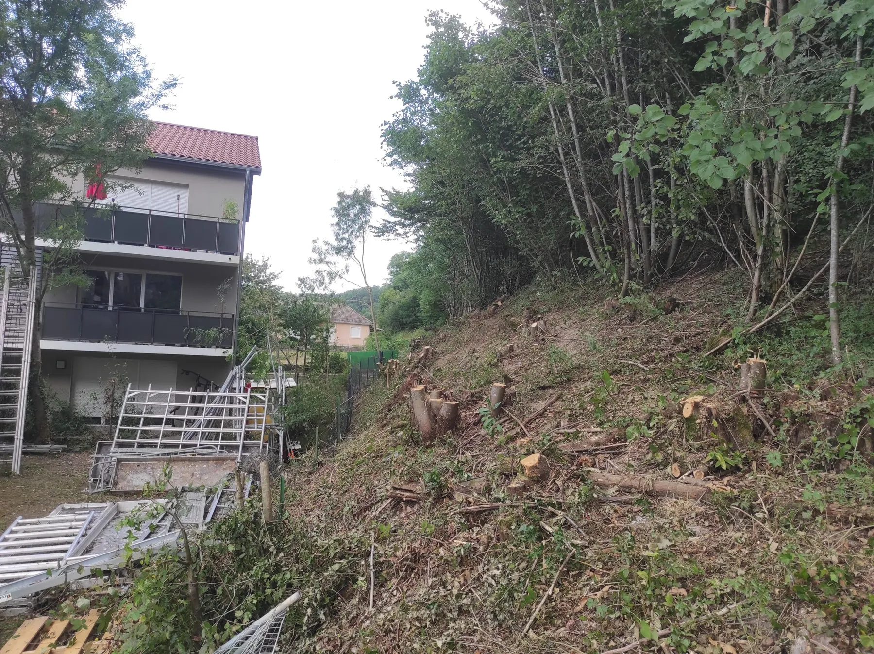 Déboisement et débroussaillage de talus