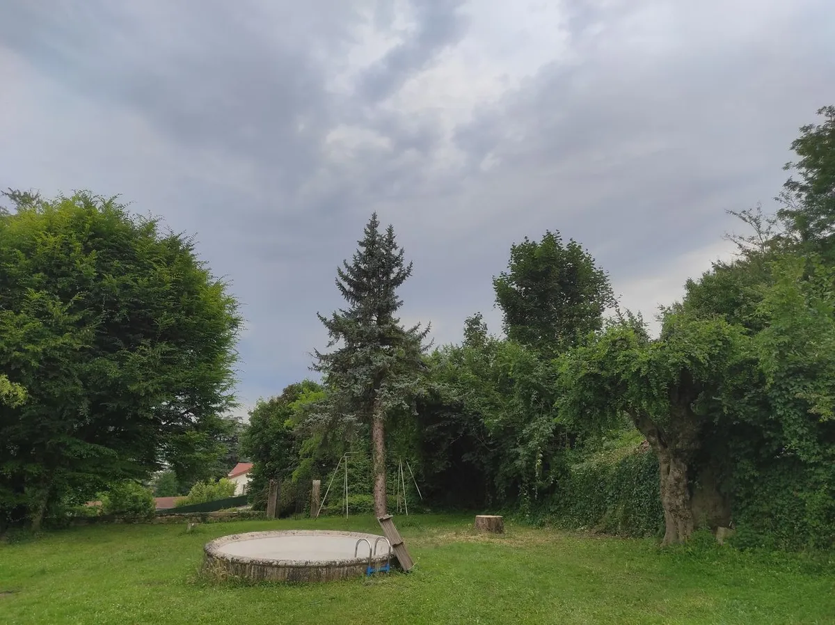 Pourquoi tailler et soigner les végétaux pendant le repos végétatif